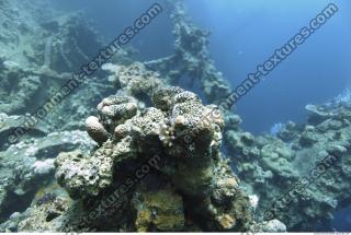 Photo Reference of Shipwreck Sudan Undersea 0057